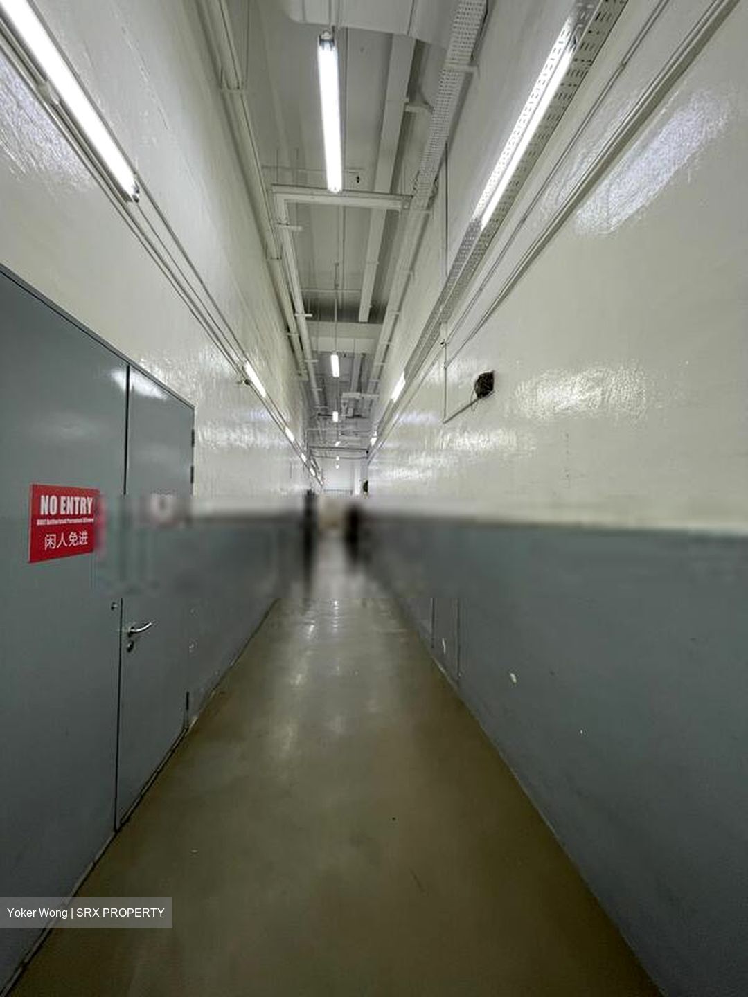 Lam Soon Industrial Building (D23), Factory #453326421